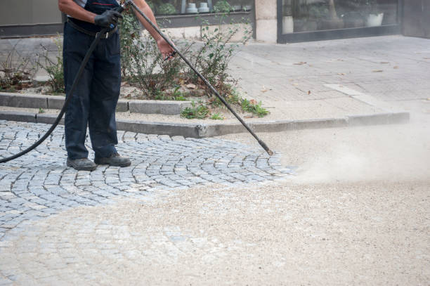 Best Pre-Holiday Cleaning  in Aldan, PA